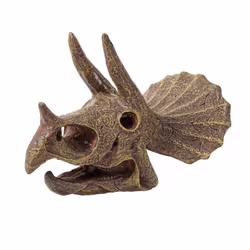 Buki Museum dino skull - tricératops - Vue supplémentaire 7