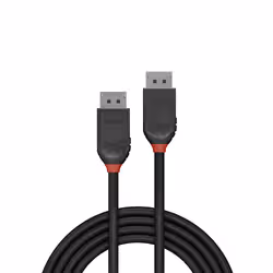 Lindy 36491 câble DisplayPort 1 m Noir - Vue supplémentaire 2