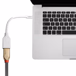Lindy 41021 câble DisplayPort 0,15 m Mini DisplayPort Blanc - Vue supplémentaire 3