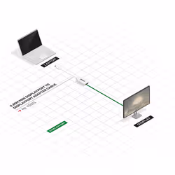 Lindy 41021 câble DisplayPort 0,15 m Mini DisplayPort Blanc - Vue supplémentaire 5
