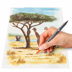 Staedtler 3001 C6-3 stylo-feutre Fin - Vue supplémentaire 4