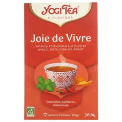 Yogi Tea Joie de Vivre Bio 17 Sachets