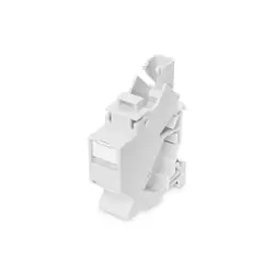 Digitus Adaptateur de profilé chapeau pour Keystone Module, IP20
