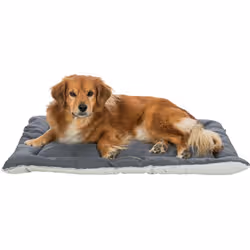 TRIXIE Farello Chien Peluche, Polyester Gris, Blanc - Vue supplémentaire 5