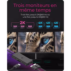 ICY BOX IB-DK4011-CPD Avec fil USB 3.2 Gen 1 (3.1 Gen 1) Type-C Noir - Vue supplémentaire 4