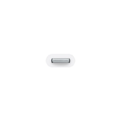 Apple MD820ZM/A changeur de genre de câble Lightning Micro-USB Blanc