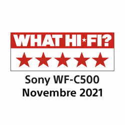 Sony WF-C500 Casque True Wireless Stereo (TWS) Ecouteurs Appels/Musique Bluetooth Noir - Vue supplémentaire 4