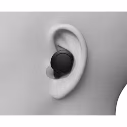 Sony WF-C500 Casque True Wireless Stereo (TWS) Ecouteurs Appels/Musique Bluetooth Noir - Vue supplémentaire 5