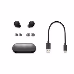 Sony WF-C500 Casque True Wireless Stereo (TWS) Ecouteurs Appels/Musique Bluetooth Noir - Vue supplémentaire 7