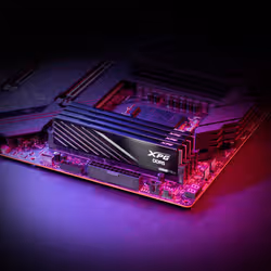 ADATA Lancer Blade Barrette Mémoire 16 Go 1 x 16 Go DDR5 5600 MHz ECC - Vue supplémentaire 7
