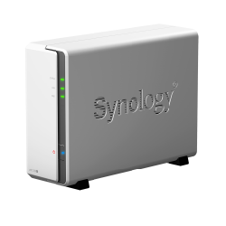 Synology DiskStation DS120j NAS Tower Ethernet/LAN Gris 88F3720 (DS120J)