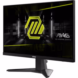 MSI MAG 256F écran plat de PC 62,2 cm (24.5") 1920 x 1080 pixels Full HD LCD Noir - Vue supplémentaire 8