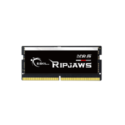 G.Skill Ripjaws F5-4800S3838A16GX1-RS Barrette Mémoire 16 Go 1 x 16 Go DDR5 4800 MHz
