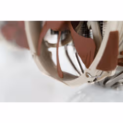 Noctua NH-D15 système de refroidissement d’ordinateur Processeur Refroidisseur 14 cm Beige, Marron, Acier - Vue supplémentaire 6