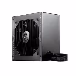 MSI MAG A650BN unité d'alimentation d'énergie 650 W 20+4 pin ATX ATX Noir - Vue supplémentaire 3