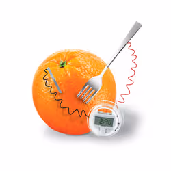 4M Kitchen Science - Vue supplémentaire 4