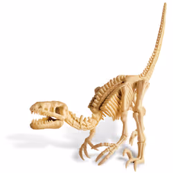 DAM 4M Kidz Labs - Déterre Ton Dinosaure (Velociraptor) - Vue supplémentaire 2