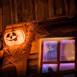 TP-Link Tapo L920-5 LED lumineuse Ruban lumineux universel Intérieure 5000 mm - Vue supplémentaire 4