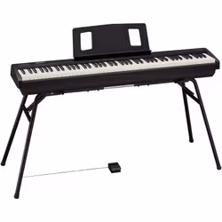 Roland FP-10 piano numérique 88 touche(s) Noir - Vue supplémentaire 6