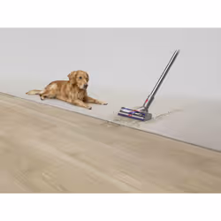 Dyson V15 Detect Absolute Nickel, Acier inoxydable, Jaune Sans sac - Vue supplémentaire 16