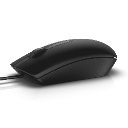DELL MS116 souris Ambidextre USB Type-A Optique 1000 DPI