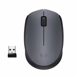 Logitech M170 Grey-K - Ambidextre - Optique - RF sans fil - 1000 DPI - Gris (910-004642)