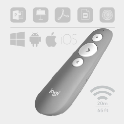 LOGITECH R500s Laser Presentation Remote - MID GREY - EMEA (910-006520)