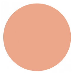Covermark Poudre Compacte Imperméable 10 g - Teinte : 2