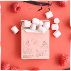 True Gum Chewing-gum à la Framboise & à la Vanille - Vue supplémentaire 3