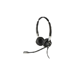 Jabra Biz 2400 II QD Duo NC Casque Avec fil Arceau Bureau/Centre d'appels Noir, Argent (2409-820-204)