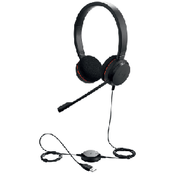 Jabra Evolve 20 Casque Avec fil Arceau Bureau/Centre d'appels USB Type-A Bluetooth Noir