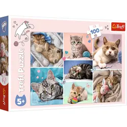 Trefl 16420 puzzle Jeu de puzzle 100 pièce(s) Animaux