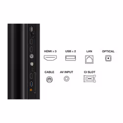 TCL P75 65P755 TV 165,1 cm (65") 4K Ultra HD Smart TV Wifi Titane - Vue supplémentaire 3