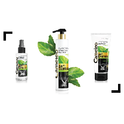 Delia Cosmetics Cameleo Anti-Damage Après-shampoing non-professionnel 200 ml Femmes
