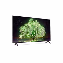 LG OLED55A1PVA TV 55" 4K Ultra HD Smart TV Wifi Noir - Vue supplémentaire 5