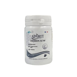 Spirit Charbon Actif 30gelules