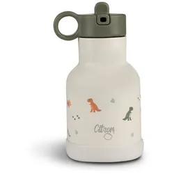 Citron Water Bottle 250 ml (Stainless Steel) Dino 250 ml