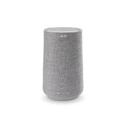 Harman/Kardon Citation 100 Gris 50 W