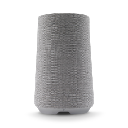 Harman/Kardon Citation 100 Gris 50 W