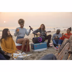 JBL JBLWIRELESSMIC microphone Noir Microphone de karaoké - Vue supplémentaire 6