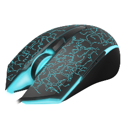 Rapoo V18 souris Ambidextre USB Type-A Optique 2000 DPI