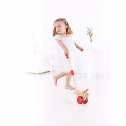 Hape E0340 jouet à tirer et à pousser - Vue supplémentaire 2