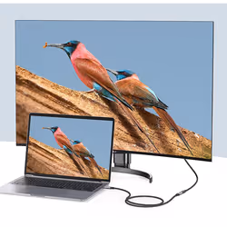 Ugreen USB-C 3.1 Extension Cable câble USB 1 m USB 3.2 Gen 2 (3.1 Gen 2) USB C Noir, Gris - Vue supplémentaire 2