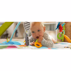 Tiny Love Gymini Sunny Day Meadow Days Multicolore Tapis de gymnastique pour bébé - Vue supplémentaire 12