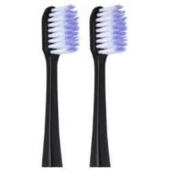 Recharges Brosse à Dents Noire x2 Sonic Daily Gum