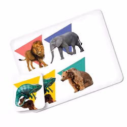 Clementoni Lotto Wild Animals Jeu de cartes Jeu de chance - Vue supplémentaire 2