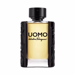 Salvatore Ferragamo Uomo Eau De Toilette 100ml - Vue supplémentaire 3