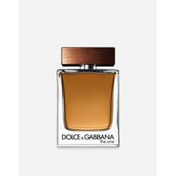 Dolce&Gabbana The One For Men 100 ml Hommes