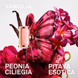 Carolina Herrera La Bomba 80 ml Femmes - Vue supplémentaire 3