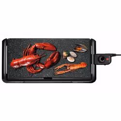 Taurus Galexia Premium Pose libre 2200 W Noir - Vue supplémentaire 3